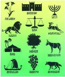 12Symbols