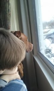 Cayden Meer with Damian. The two year old got to witness his dog being shot before his very eyes by Deputies who raided his home on the bogus information of a snitch - a criminal who acted as an informant to get out of being arrested. That's the new paradigm for justice in the police state war on (poor) Americans who use drugs.