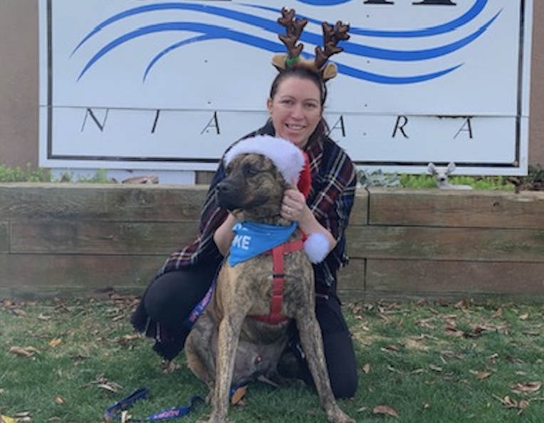 Run for the Dogs Santa Run Virtual 5K to Benefit Niagara County SPCA