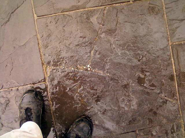 A large crack runs completely across this paver from left to right, while a shorter crack extends upwards in the photo. Small pebbles are accumulating in the deep crack at the center of the paver.