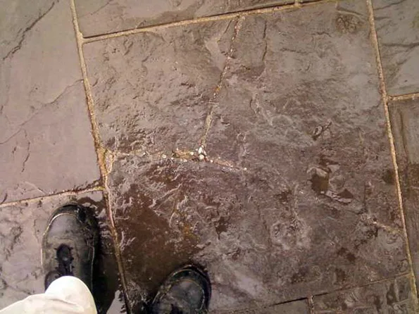 A large crack runs completely across this paver from left to right, while a shorter crack extends upwards in the photo. Small pebbles are accumulating in the deep crack at the center of the paver.