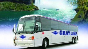bus