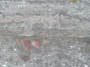Surprise! The old trolley tracks that lurk beneath Buffalo Avenue damaged the contractor's milling machine. Sources say the city knew of the tracks, but kept mum when it came to putting the job out to bid.