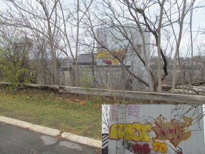 Ugly graffiti at the top of the Niagara Gorge on the Moses Parkway south of Findlay Drive. How very scenic.