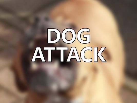 Puppy Left Dead After Gruesome Dog Attack in North Tonawanda
