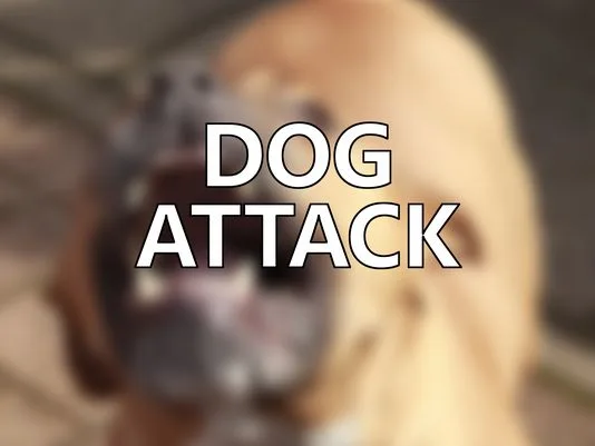 Puppy Left Dead After Gruesome Dog Attack in North Tonawanda