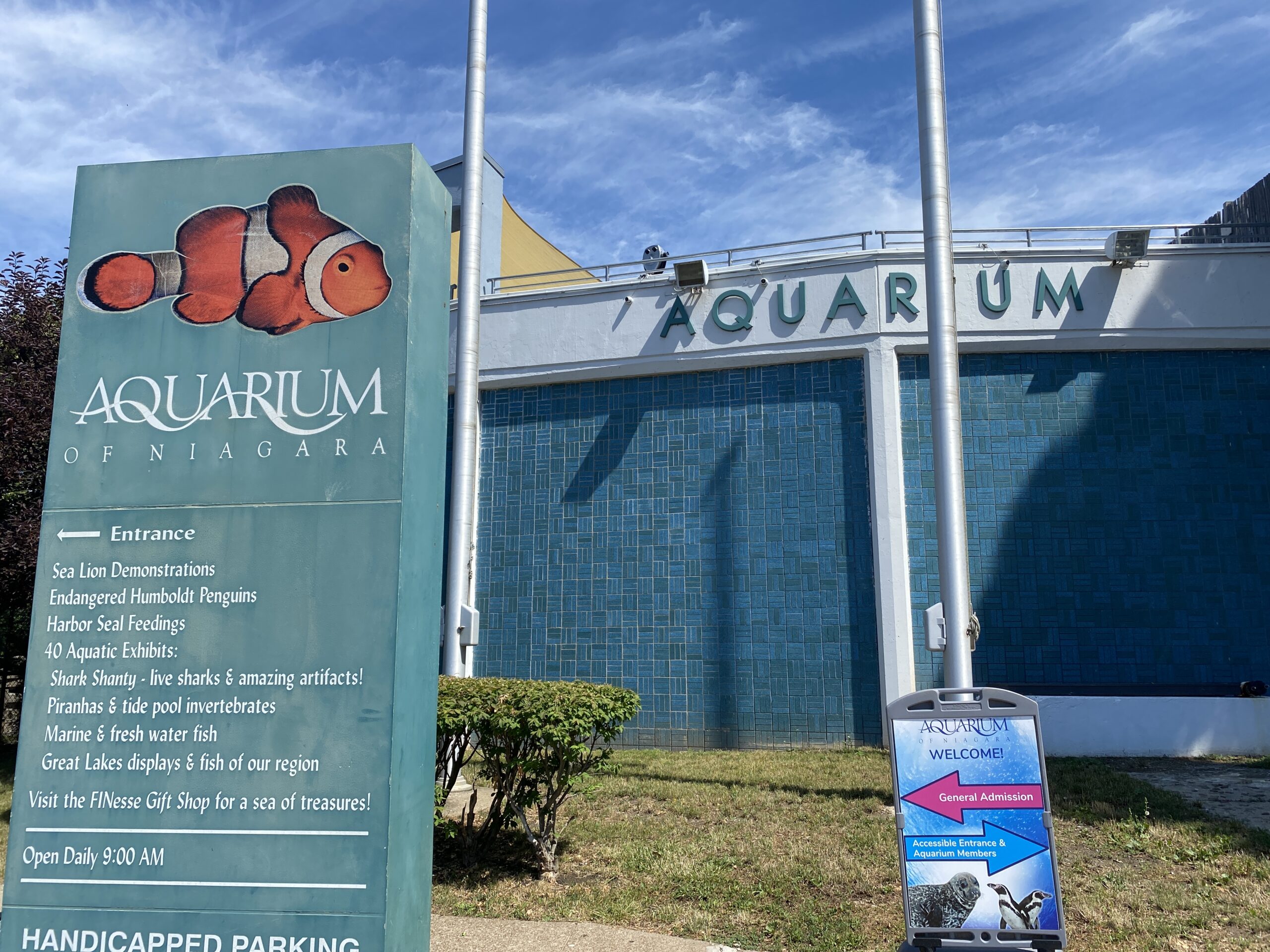 Aquarium of Niagara to Offer Weekend of Celebrations as Rescued Harbor Seal Turns 40