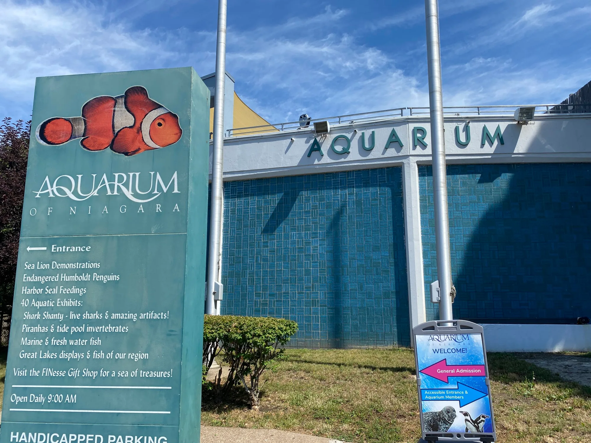 Aquarium of Niagara to Offer Weekend of Celebrations as Rescued Harbor Seal Turns 40
