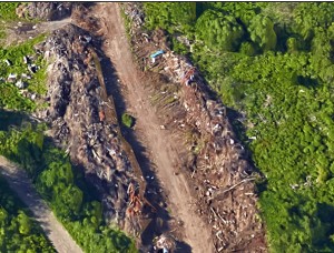 Illegal dumping of garbage