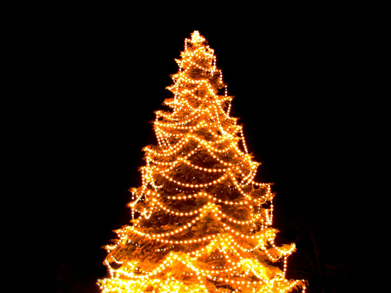 Thanks to IBEW Local 237 for Lighting Up Schoellkopf Park
