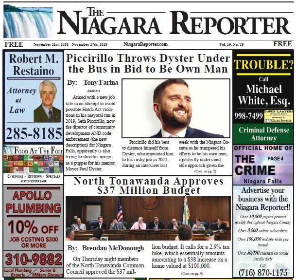 November 21st Edition of the Niagara Reporter Newspaper