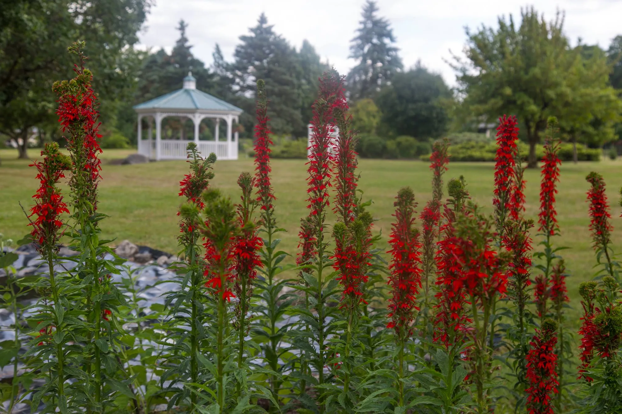 The Revival of North Tonawanda’s Botanical Gardens