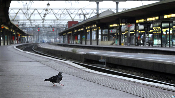 train