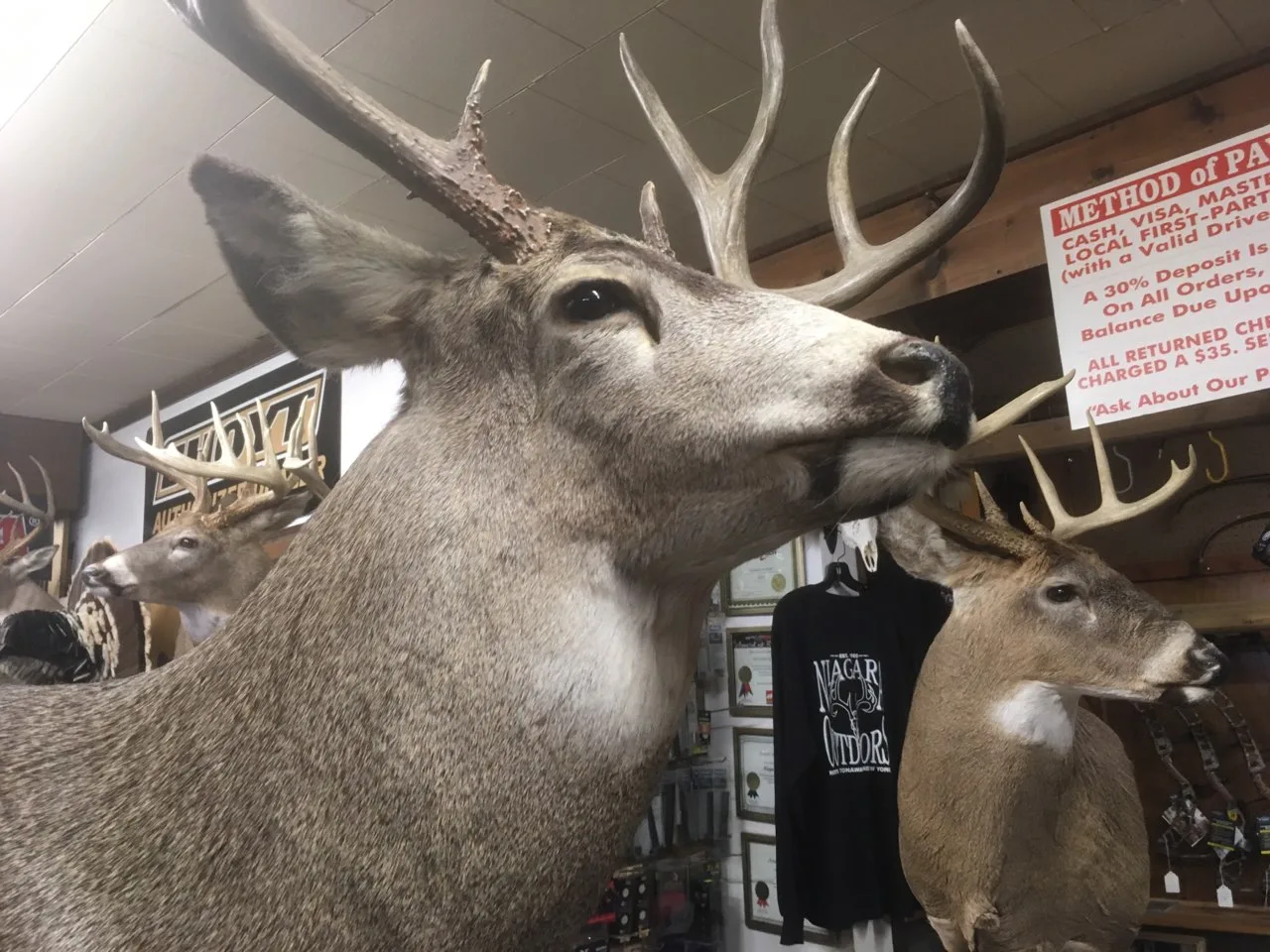 Hunting Season Safety Tips from the Niagara Outdoors Store