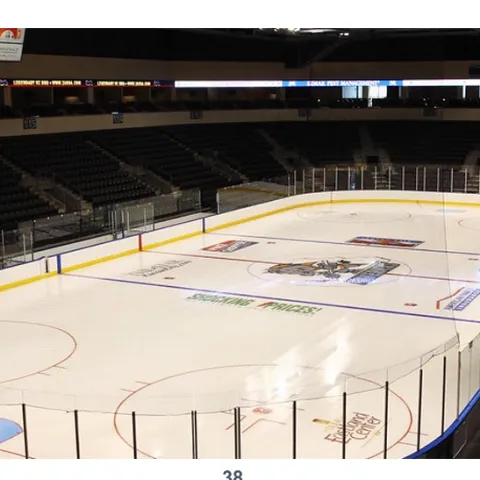 Niagara Falls Arena Study: No Author, No Team, No Truth