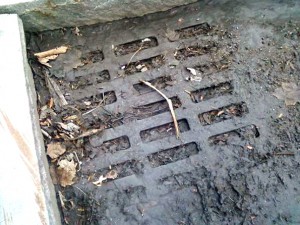  A storm drain on Third Street plugged with refuse and muck graces the city's vaunted tourism district.