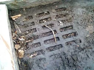A storm drain on Third Street plugged with refuse and muck graces the city's vaunted tourism district.