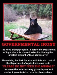dont-feed-the-bears