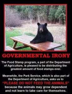 dont-feed-the-bears