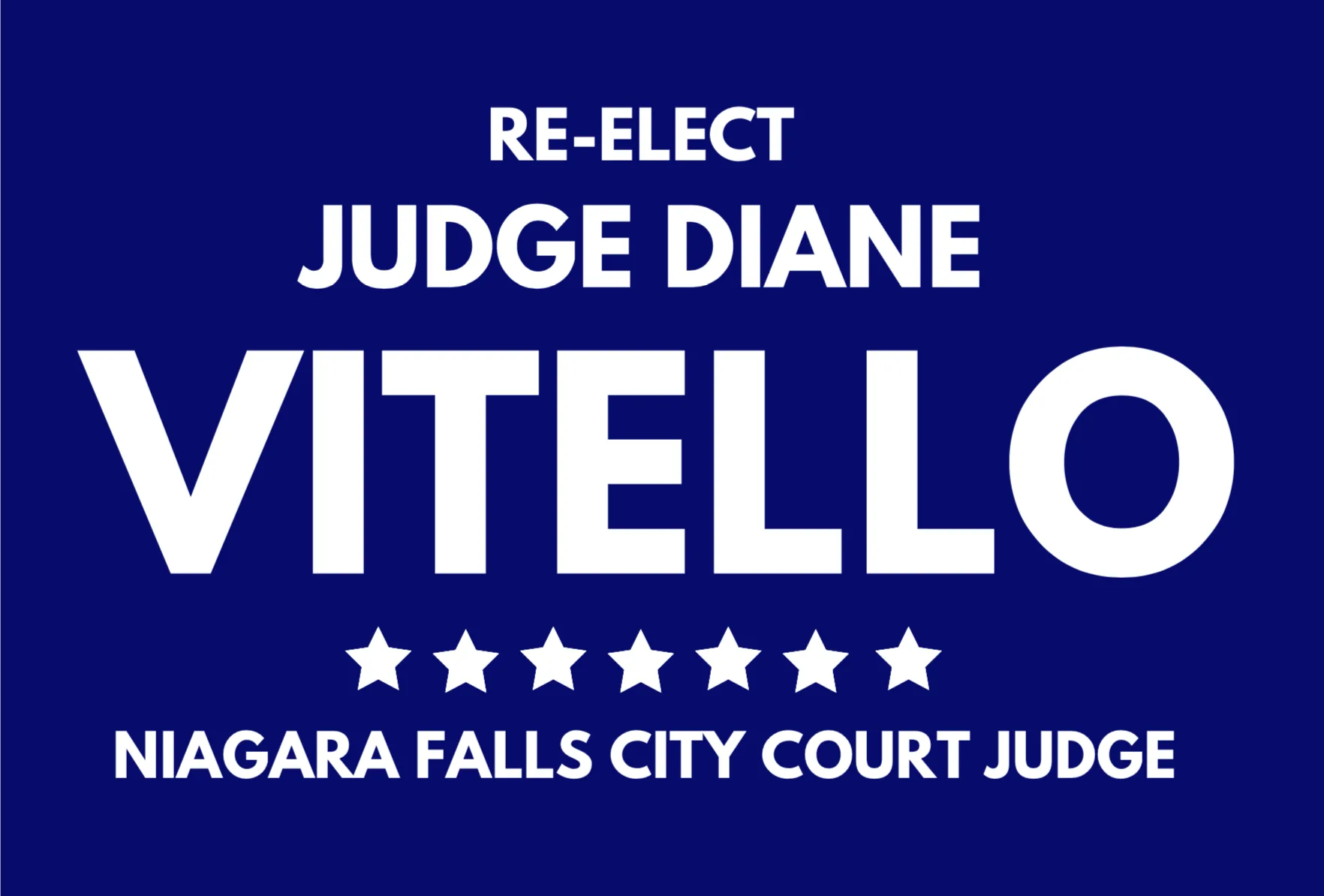 Petition Party for Re-Elect Diane Vitello for Niagara Falls City Court Judge Campaign