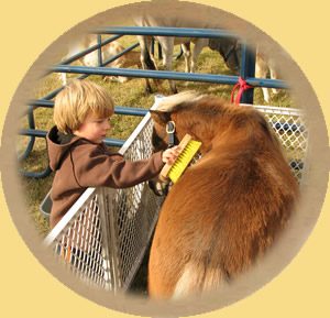Shenandoah Acres petting zoo for the kids.