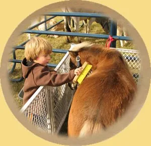 Shenandoah Acres petting zoo for the kids.