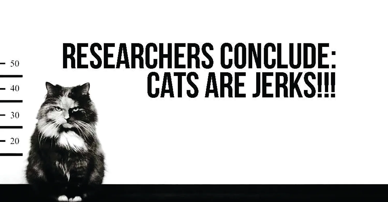 Transparency Wins Out Over Unnecessary  Feral-Cat Ordinance Expediency
