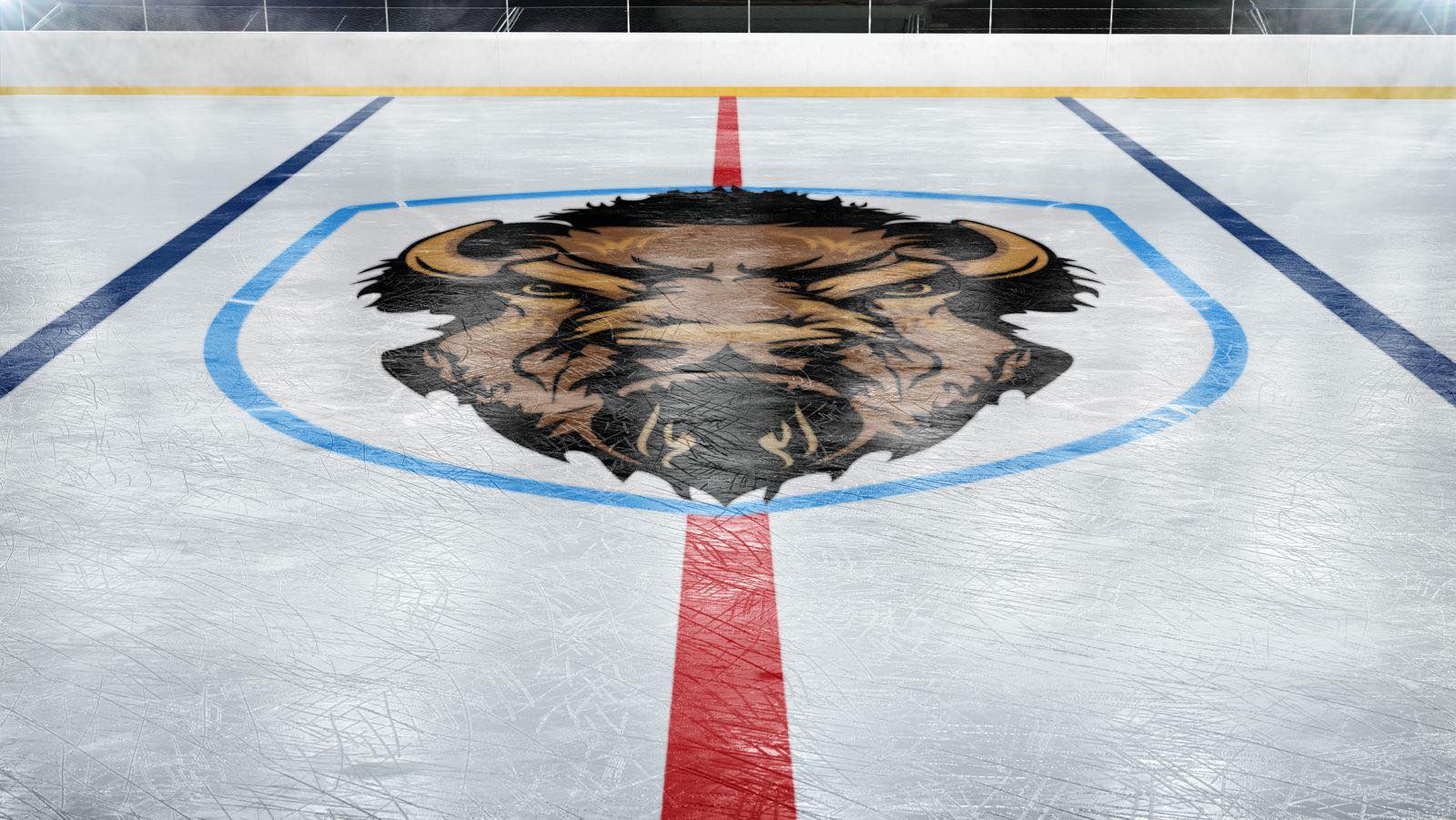 APHL Champions Support Current Hyde Park Rink Operator