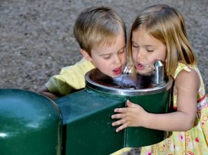 If you visit any New York State Parks between now and 2019, you may want to think twice about letting your kids use the drinking fountains.