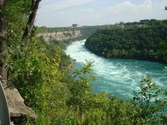 Voccio to Lead Fall Foliage Walk in Niagara Falls