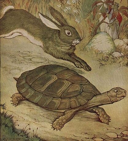 Turtle Power: Slow and Steady Wins the Race