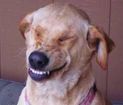 laugh3