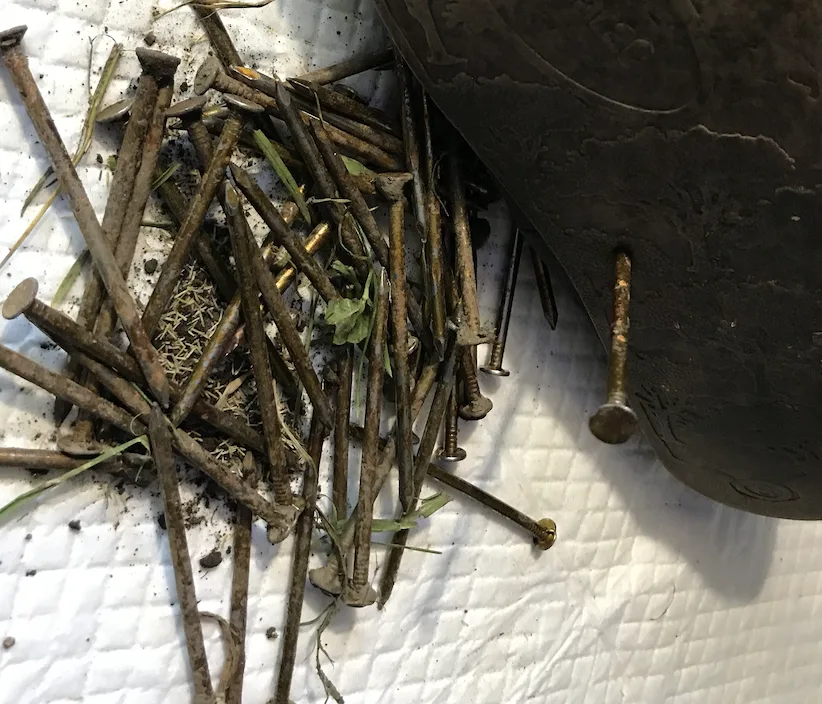 Nails Found Along Often-Traveled LaSalle Walking Path in Niagara Falls