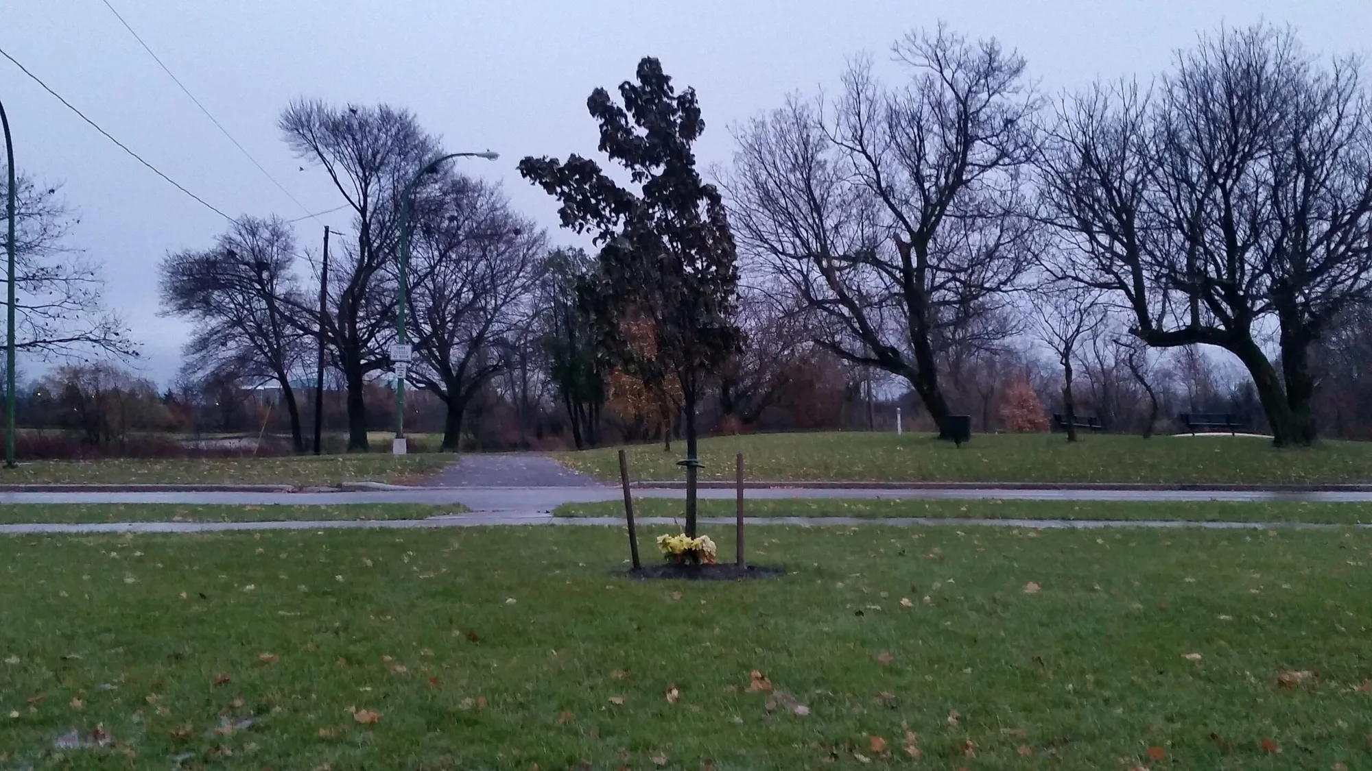 HAMILTON: Hyde Park or “Died Park” Should be a Public Decision