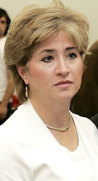 USA Niagara Chair Francine DelMonte served in the Assembly of the highest taxed state in the USA, representing the highest taxed city in the state. Did this prepare her for a role in economic development for Niagara Falls.