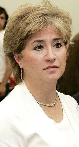USA Niagara Chair Francine DelMonte served in the Assembly of the highest taxed state in the USA, representing the highest taxed city in the state. Did this prepare her for a role in economic development for Niagara Falls.
