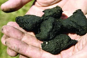 Quasar does not use the word ‘sewage’, instead, they use the word ‘fertilizer’ when speaking of the product they call “Equate”.
