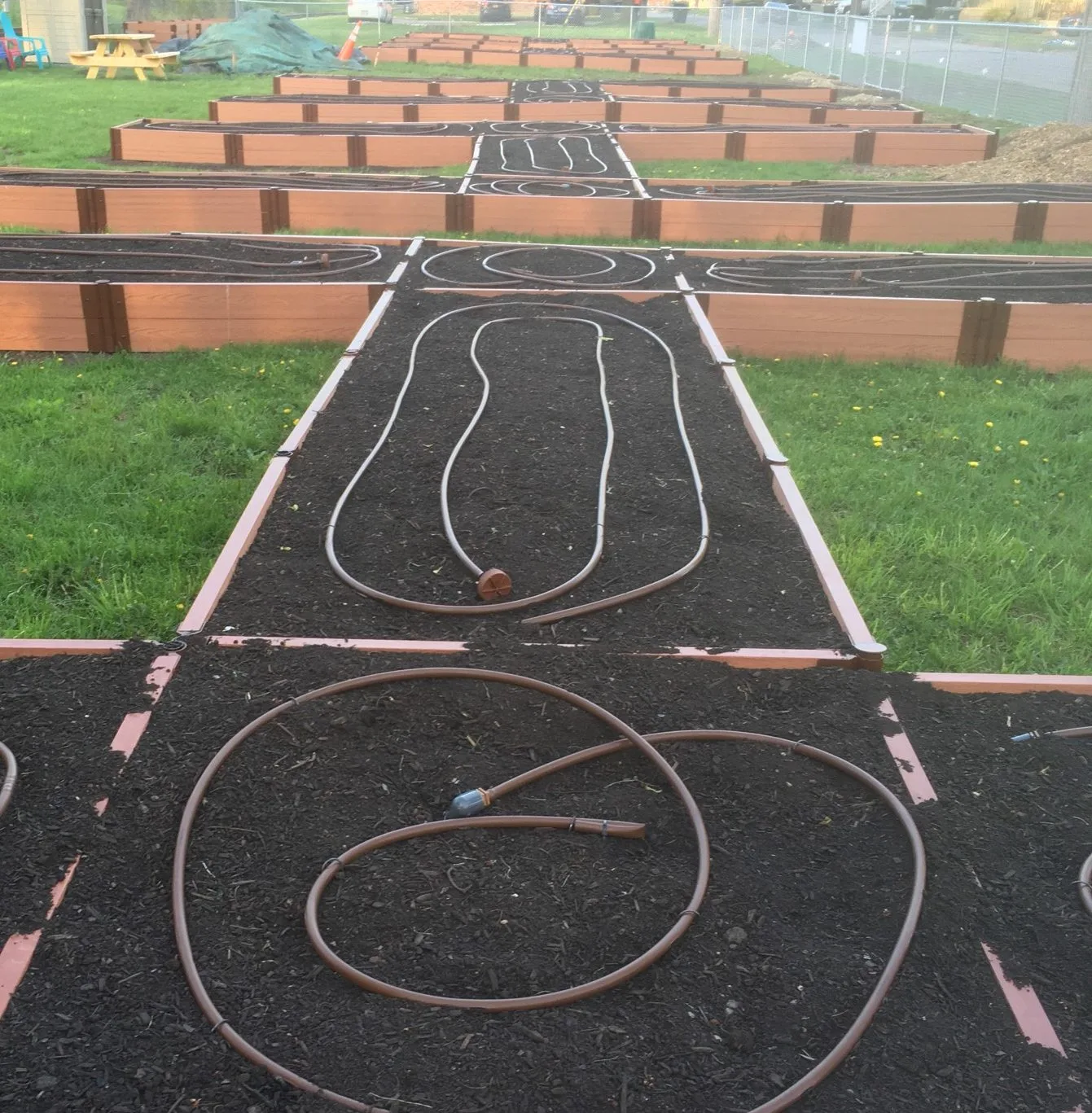 North Tonawanda Community Gardens