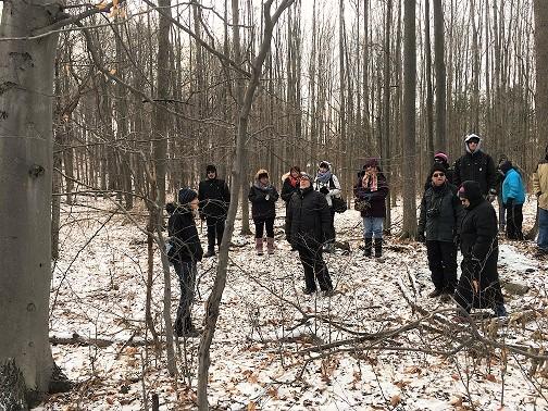 Learn to ID trees while hiking the Niagara Escarpment