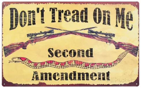 Second Amendment Watch: The Purpose of the Second Amendment against Obama’s Planned Executive Order