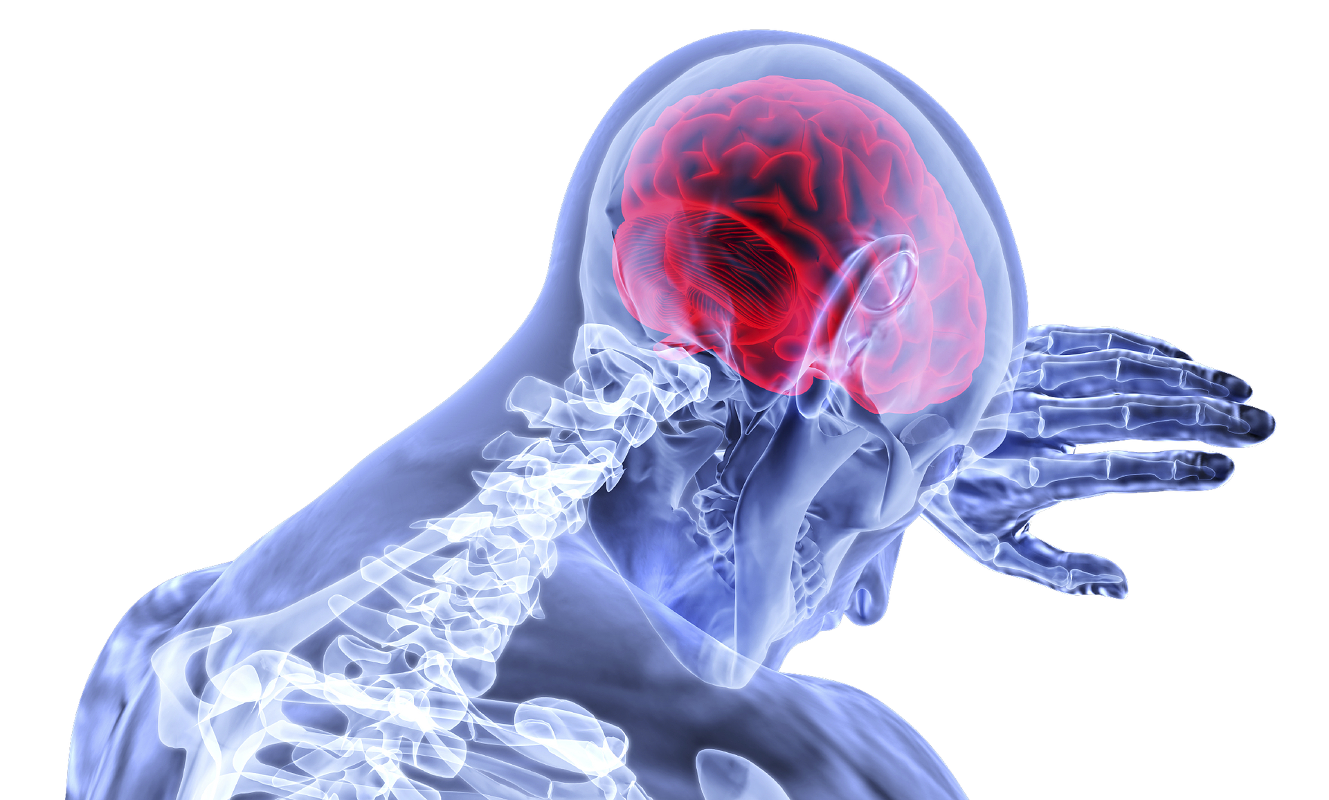Ask Flavio: Pain… and its Misunderstanding