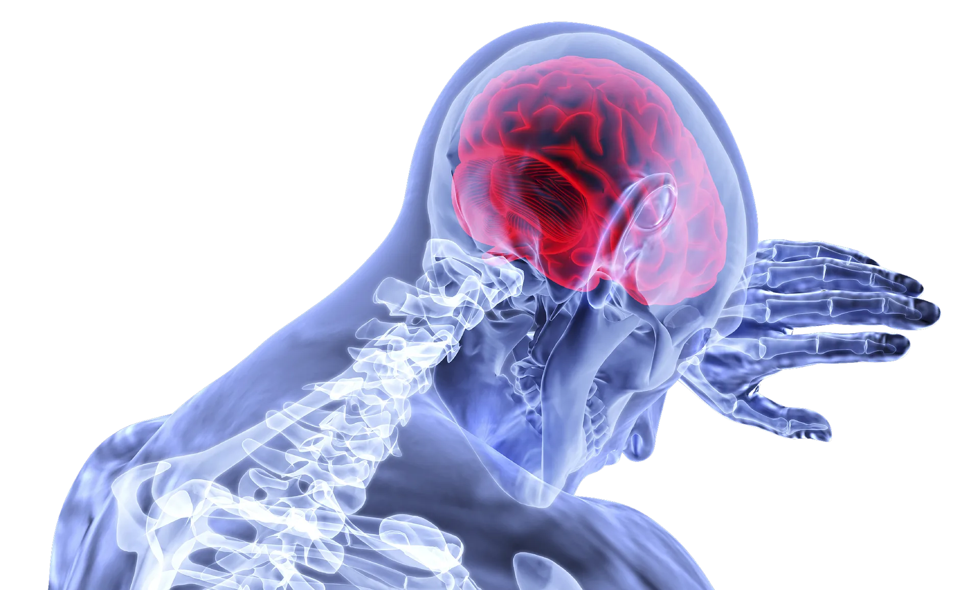 Ask Flavio: Pain… and its Misunderstanding