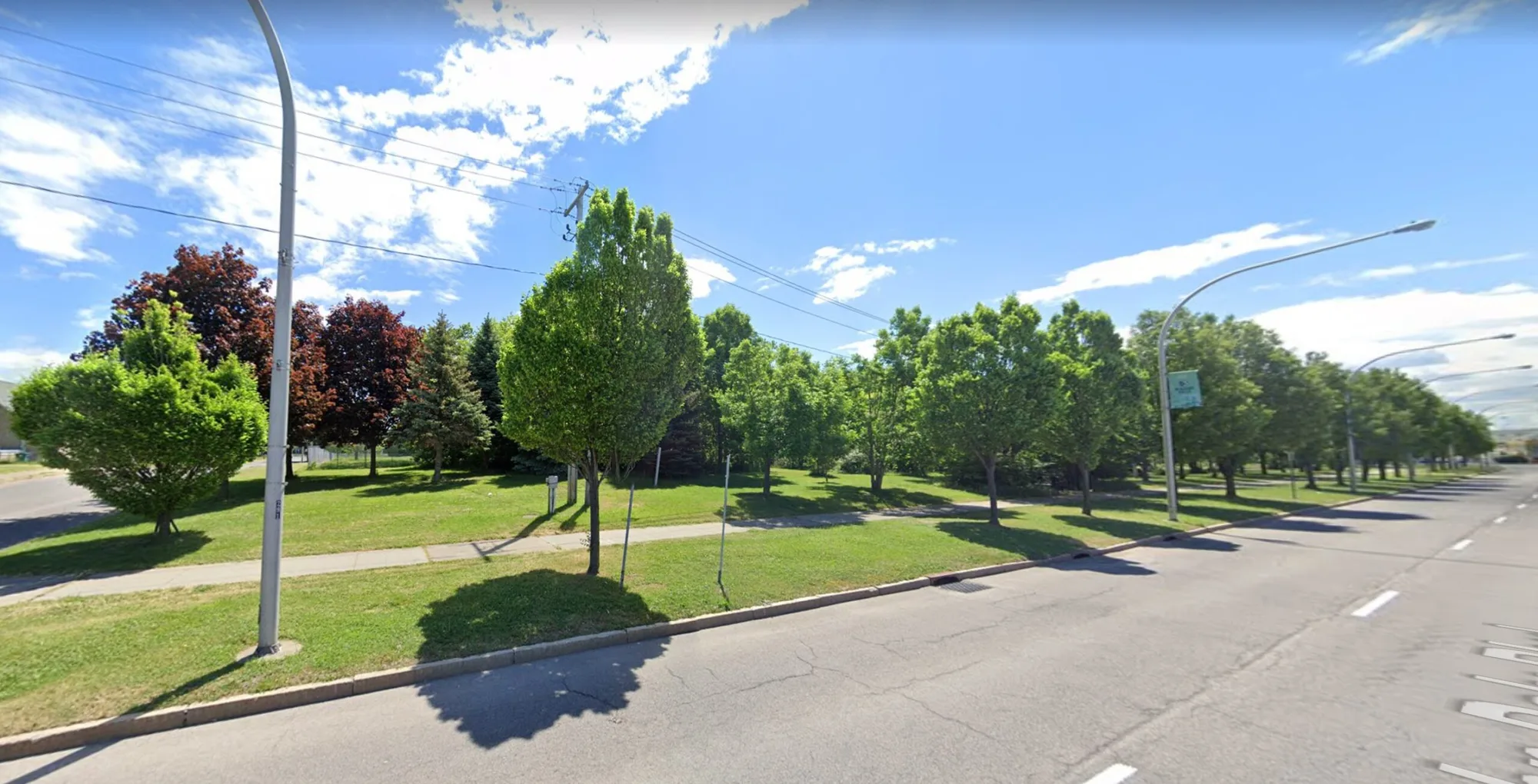 Developer Fights Back Against Mayor Restaino’s Attempt to Take Park-Like Land as ‘Blight’