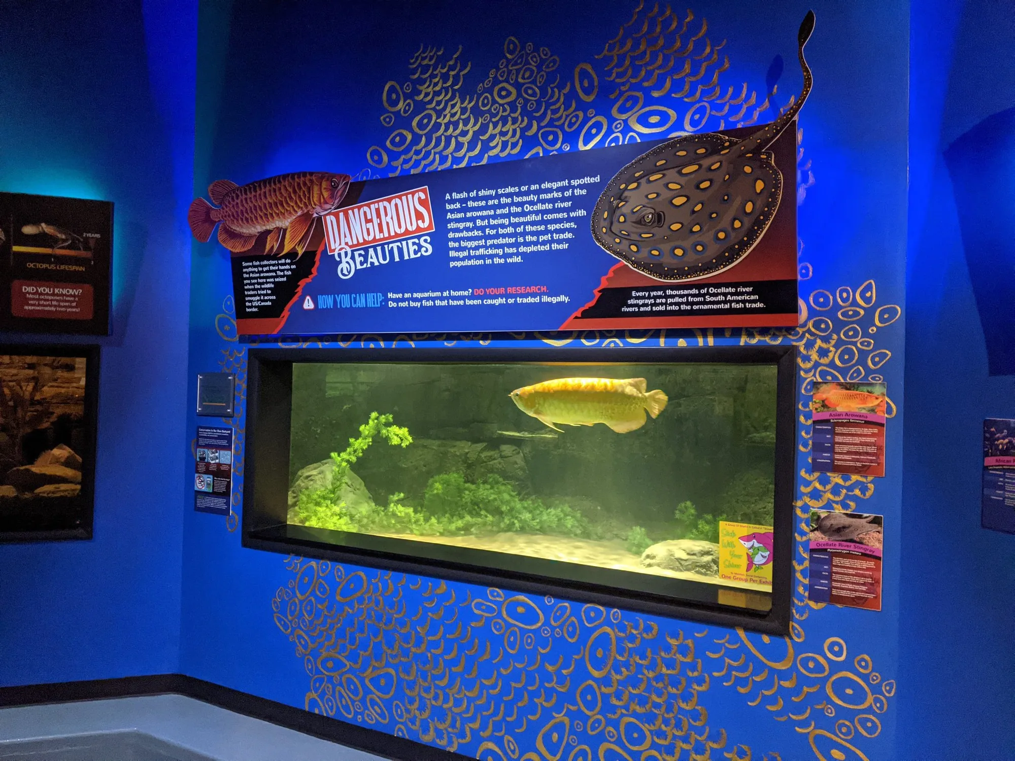 New Exhibit Highlights Dangers of Illegal Wildlife Trade at Aquarium of Niagara