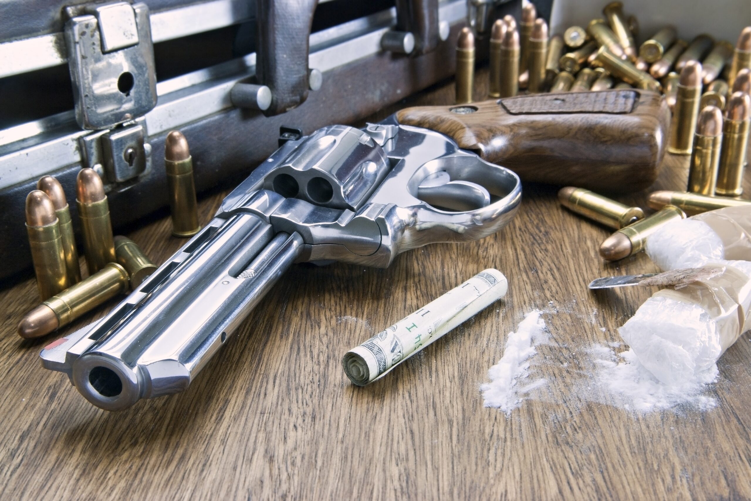 Guilty plea from alleged Coked-Up Gun Nut Bax
