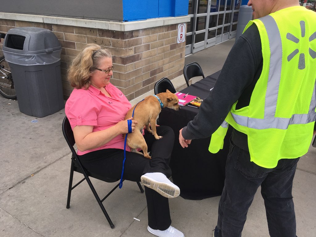 Heart of Niagara Fundraiser a Success in North Tonawanda