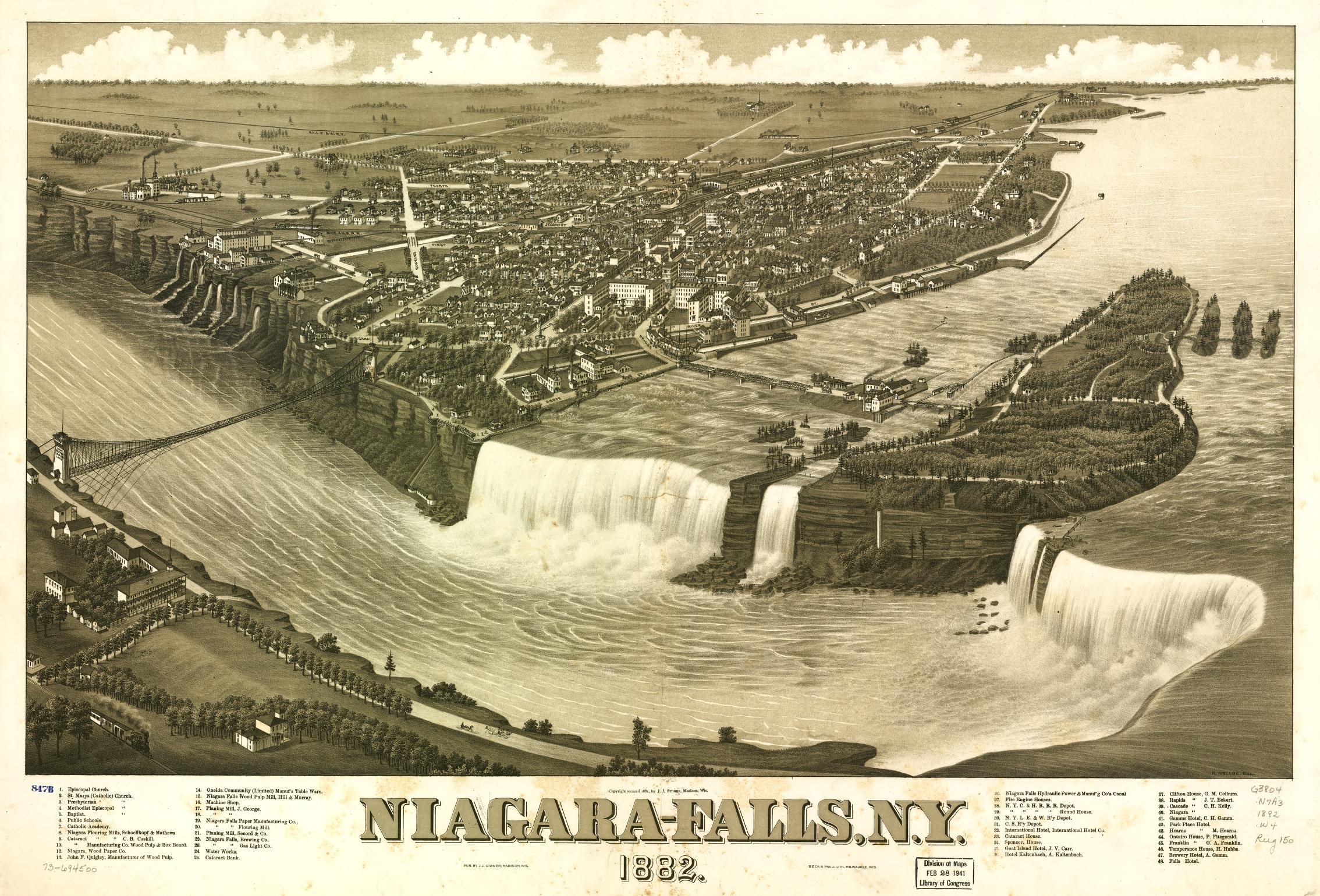 Turtle Aftermath: Giving “Buffalo Niagara” the Boot