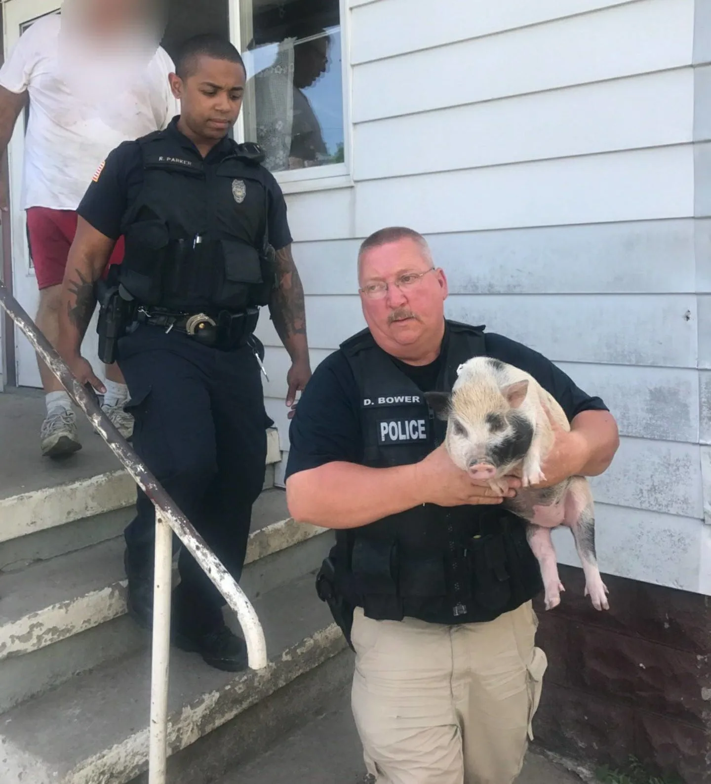 THE ACTION: Police & Animal Control Remove Livestock from House in Niagara Falls
