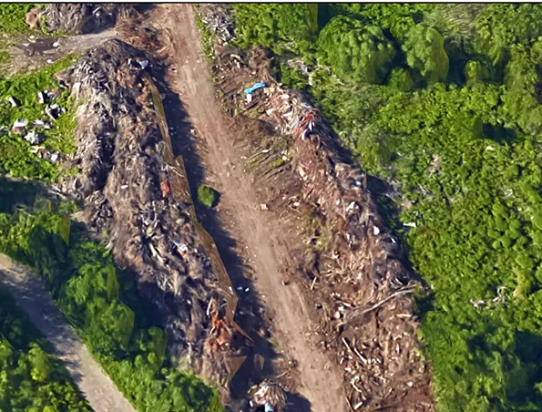 Down and Dirty: DPW Compost Pile Has Become Dumping Grounds For More Than Just Dead Dogs