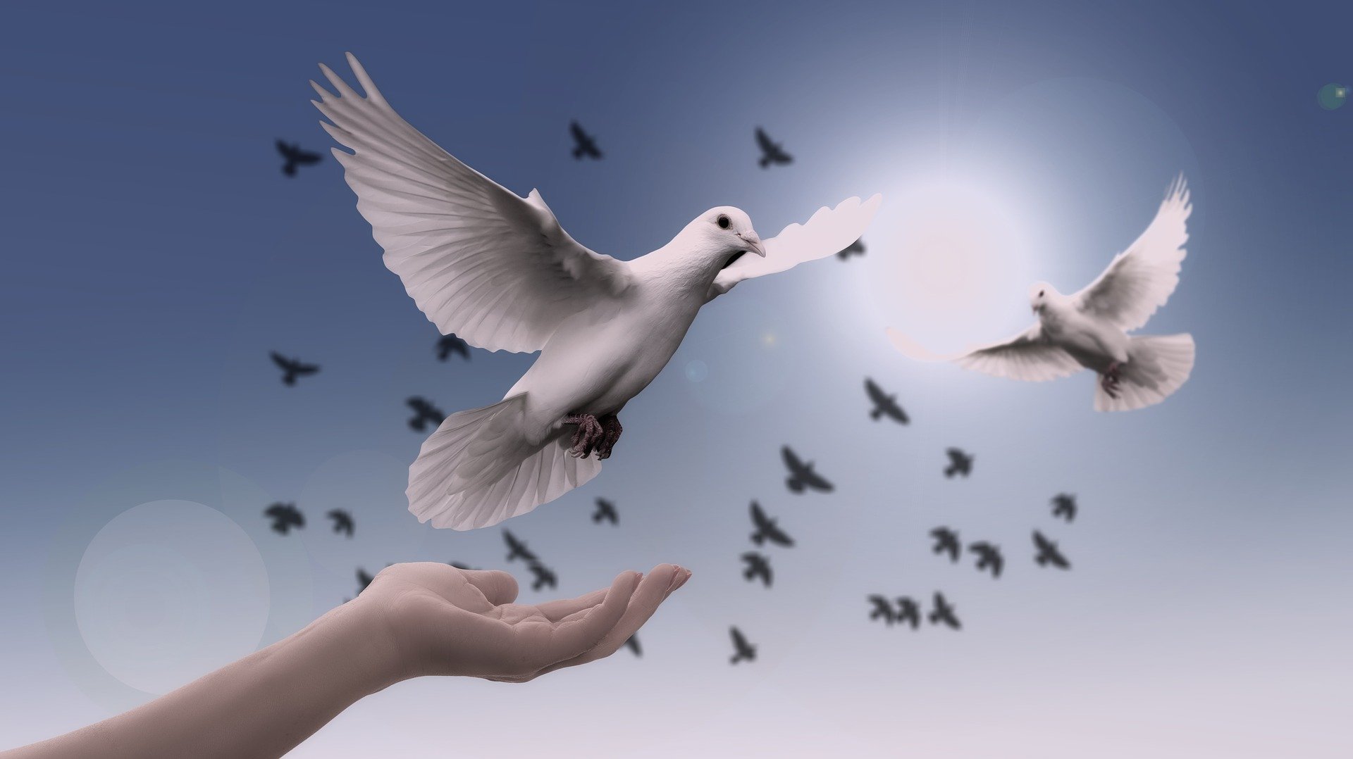 Grieving The Loss of a Loved One